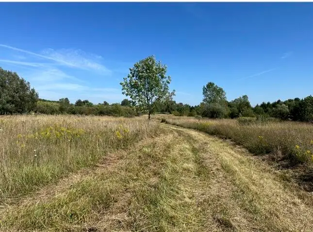 Rolling Hills Drive, Fennville, MI 49408 - #1