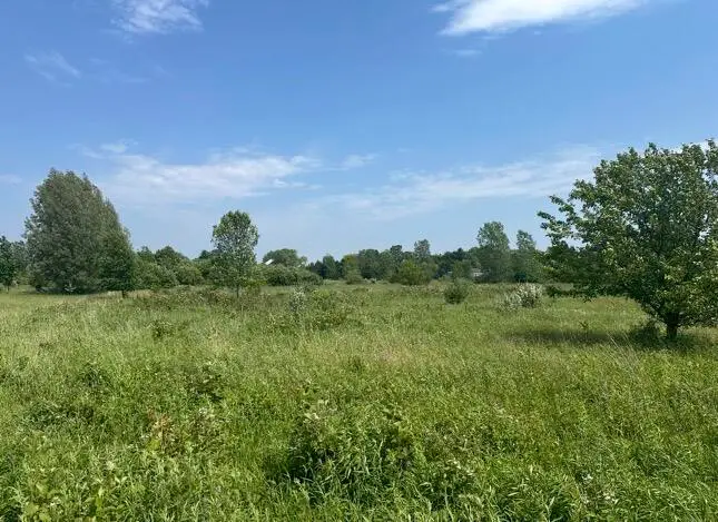 Rolling Hills Drive, Fennville, MI 49408 - #3