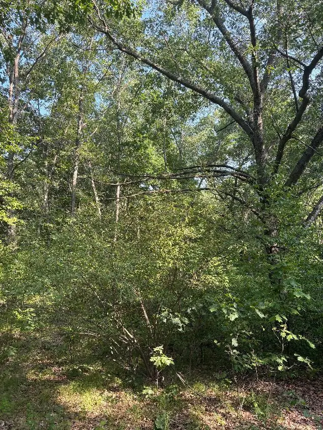 8159 Roosevelt Road, Mecosta, MI 49332 - #2