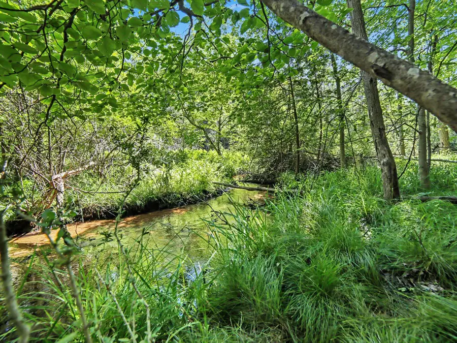 V/l South Shore Drive, Whitehall, MI 49461 - #3