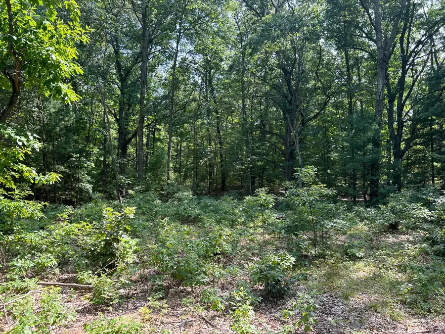 6440 Gaslight Lane, Saugatuck, MI 49453 - #3