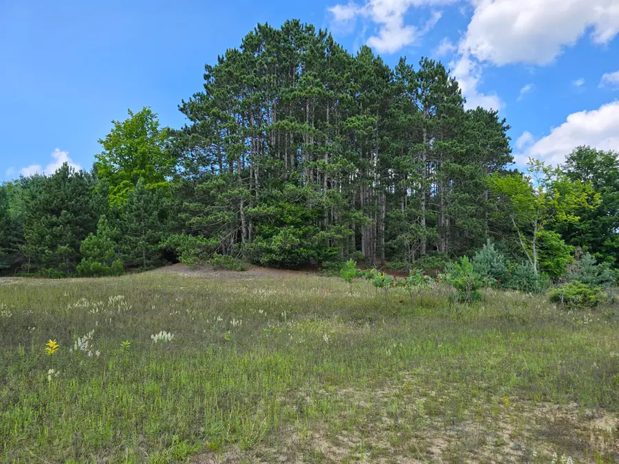 11 Mile Road #Parcel B, Bear Lake, MI 49614 - #3