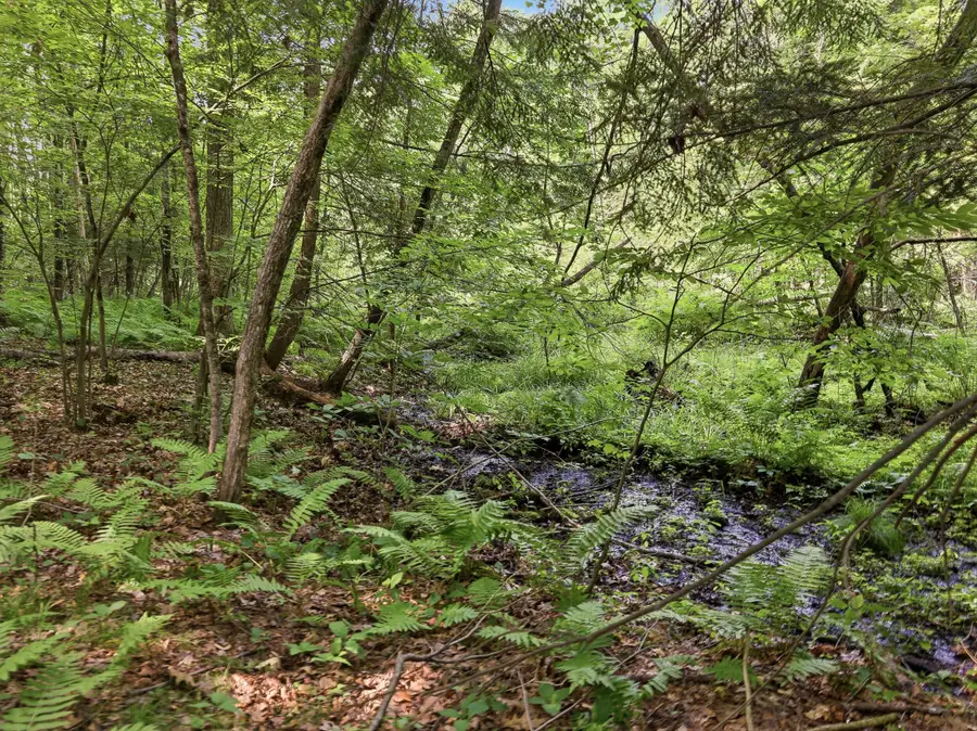 0 10 Mile Road, Stanwood, MI 49346 - #3