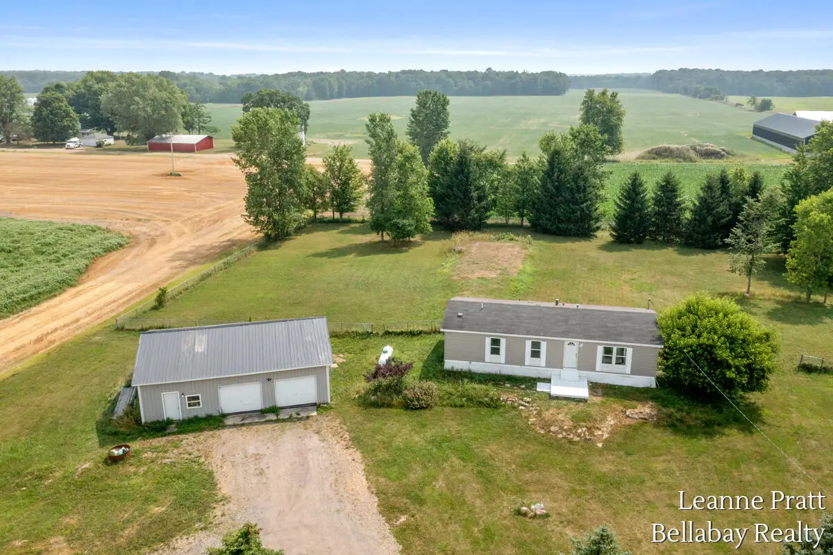 10130 Stahl Road, Lake Odessa, MI 48849 - #1