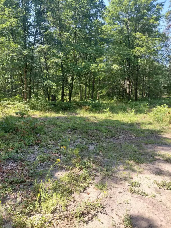 2807 Evergreen Dr Drive #Par C, White Cloud, MI 49349