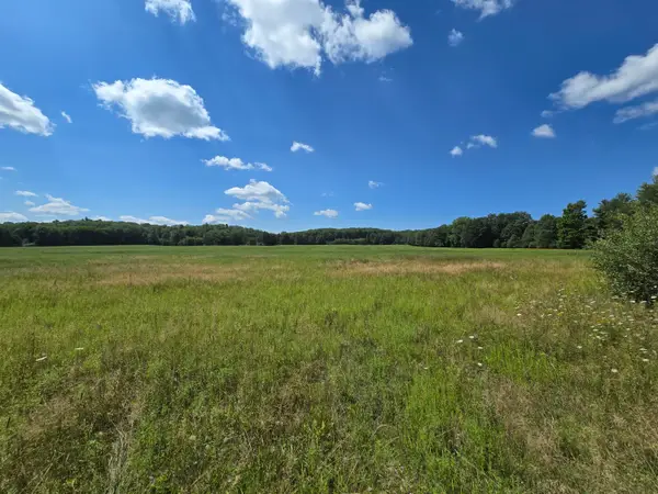 VL Leckrone Road #Parcel C, Brethren, MI 49619