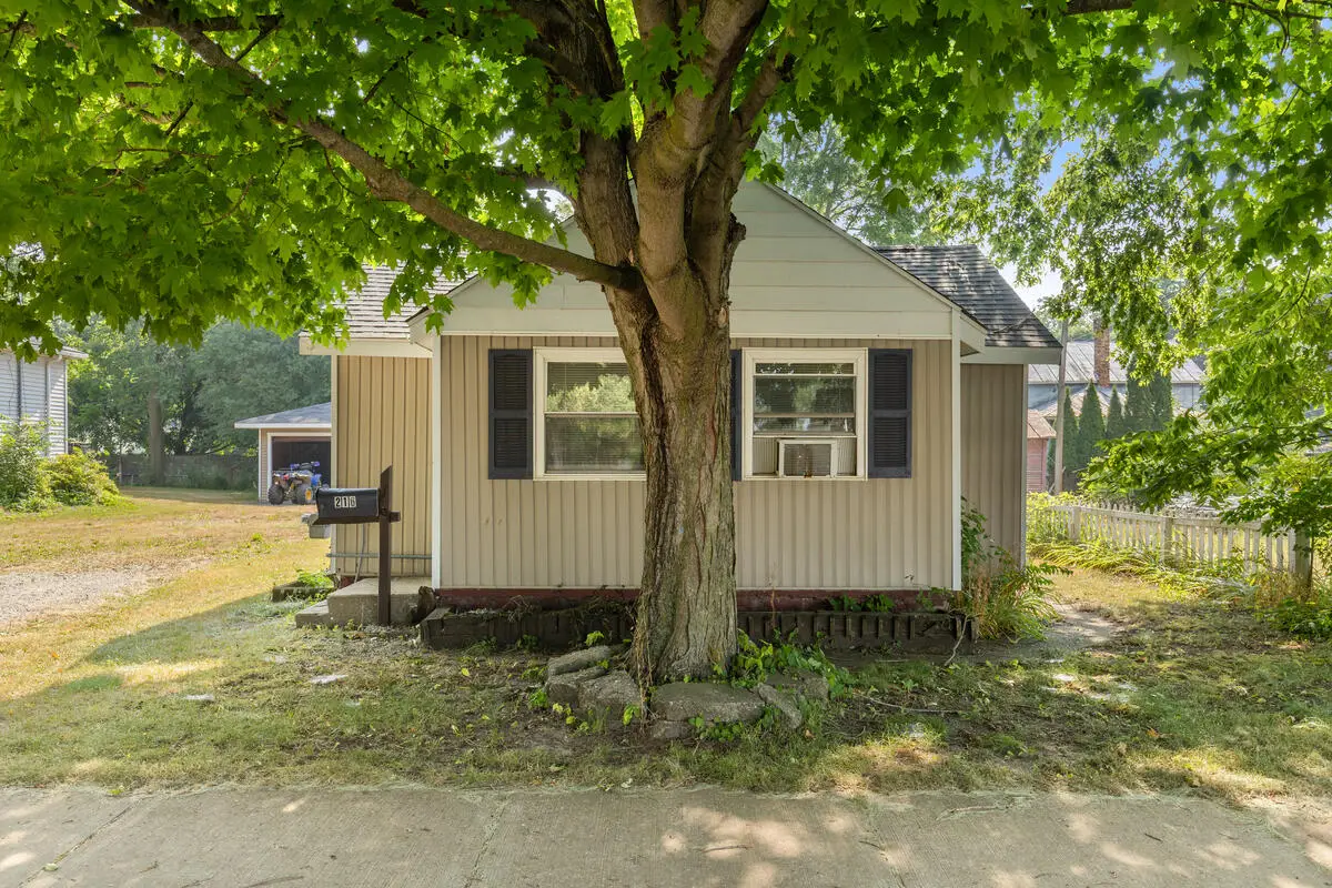 216 Mill Street, Ionia, MI 48846 - #1