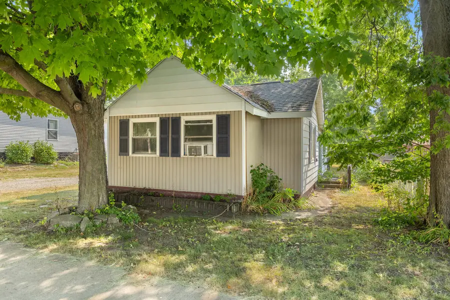 216 Mill Street, Ionia, MI 48846 - #3