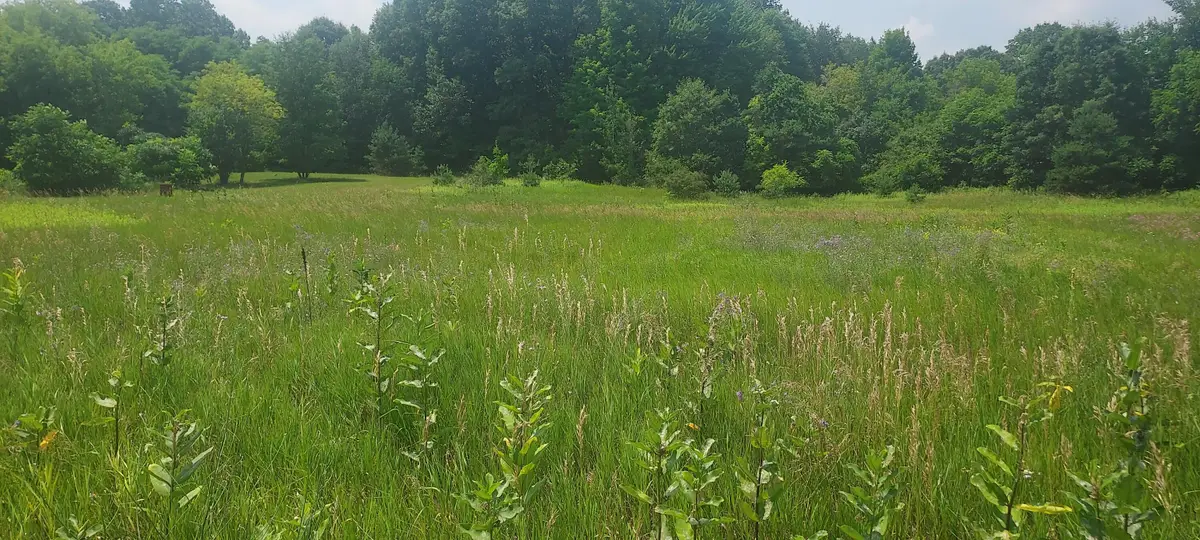 V/L Gravel Ridge Road, Coral, MI 49322 - #1