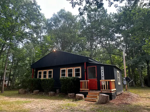 11384 N Irons Road, Irons, MI 49644