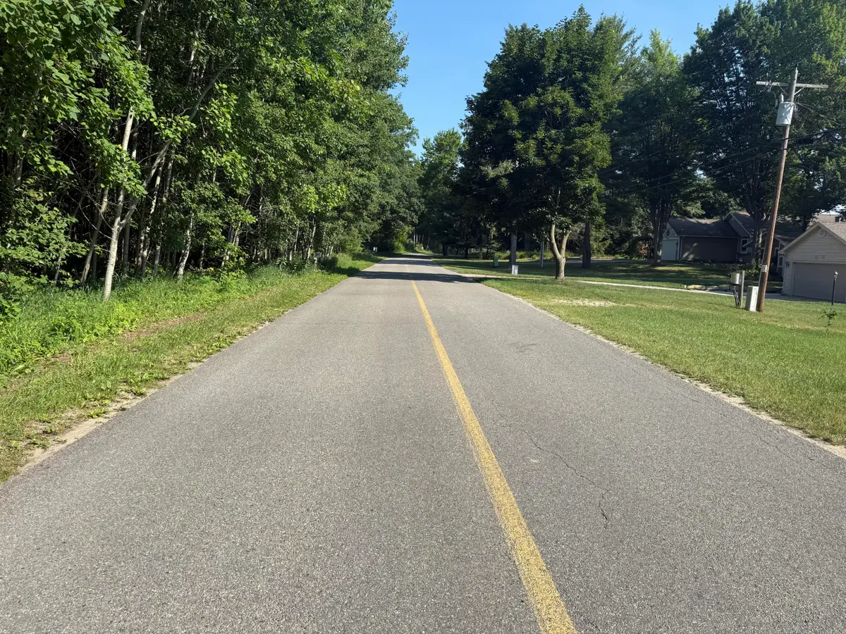 W Royal Road #Lot 1, Canadian Lakes, MI 49346 - #1