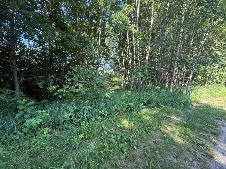 W Royal Road #Lot 1, Canadian Lakes, MI 49346 - #2