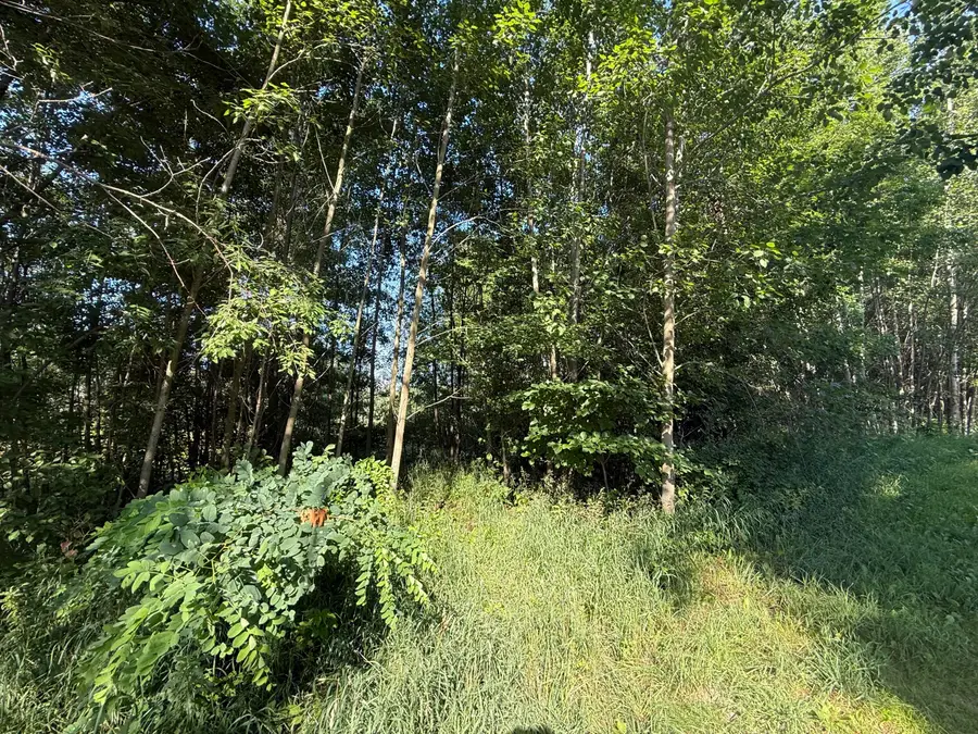 W Royal Road #Lot 1, Canadian Lakes, MI 49346 - #3