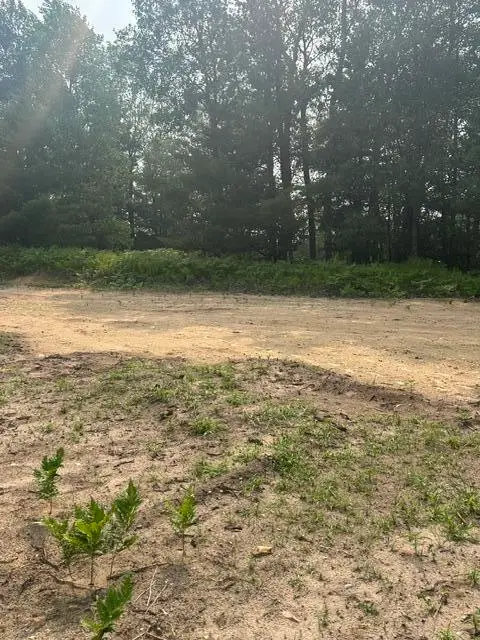 7893 S 220th Avenue, Reed City, MI 49677 - #3