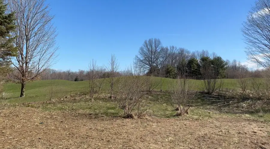 19529 Kluver Road, New Buffalo, MI 49117 - #2