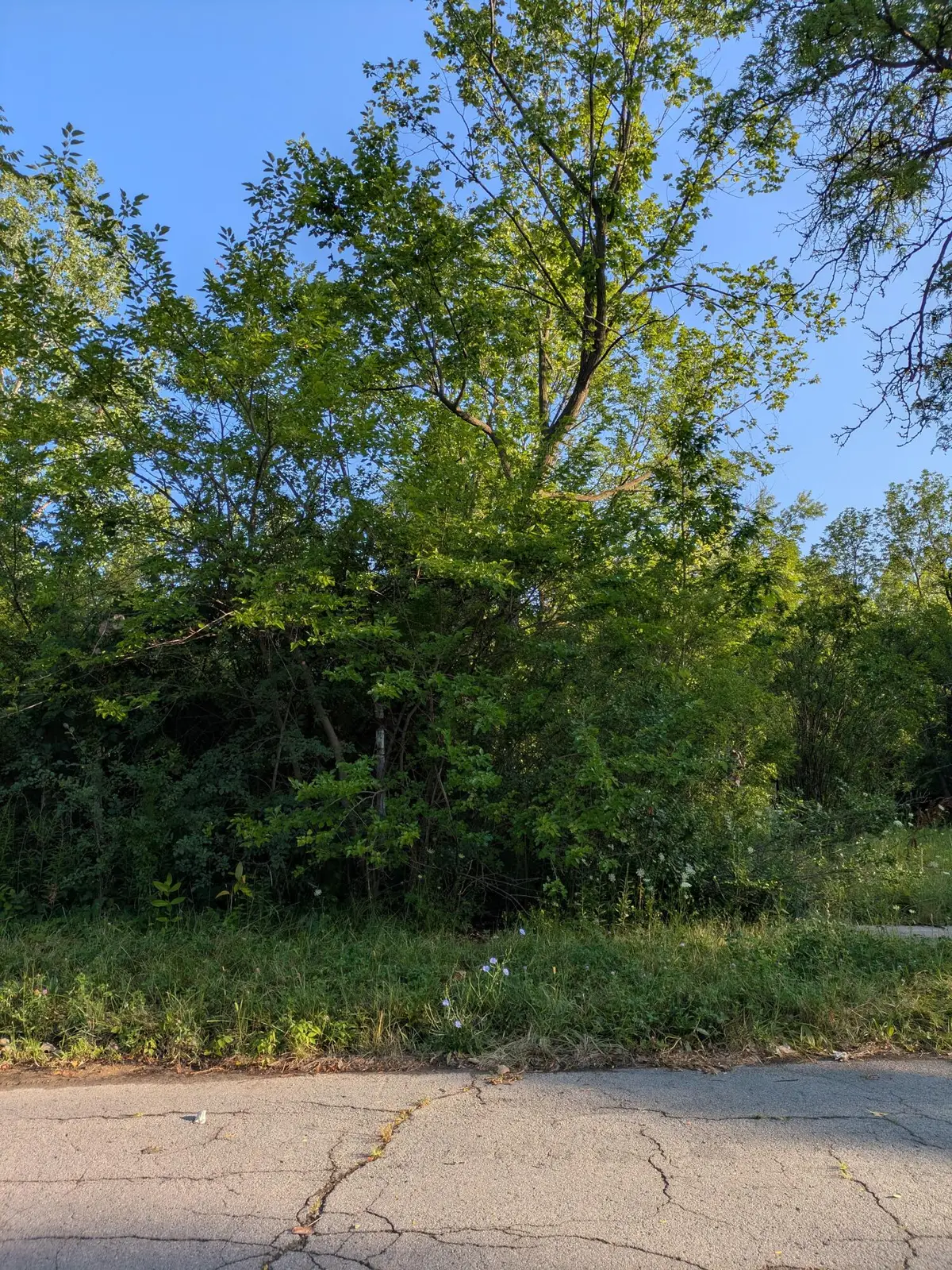 2640 W Forest Avenue, Detroit, MI 48208 - #1