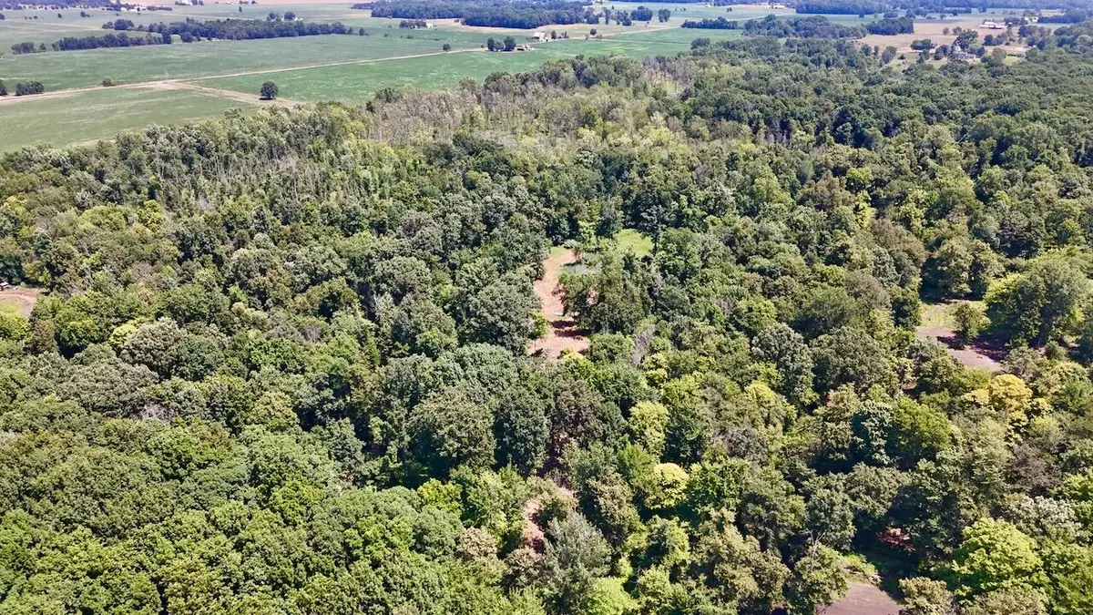 V/L N Scott Road, Saint Johns, MI 48879 - #1
