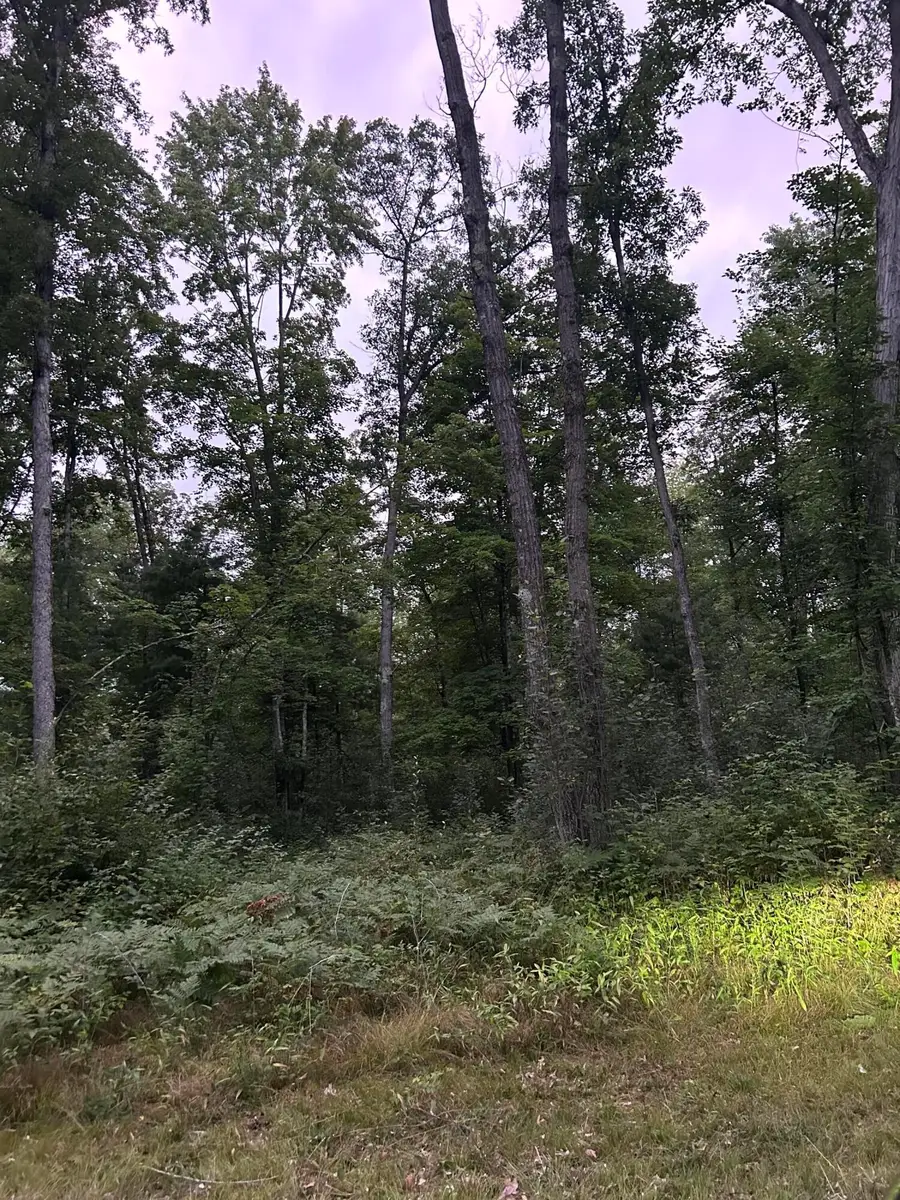 V/L Newcosta Avenue, Howard City, MI 49329 - #2