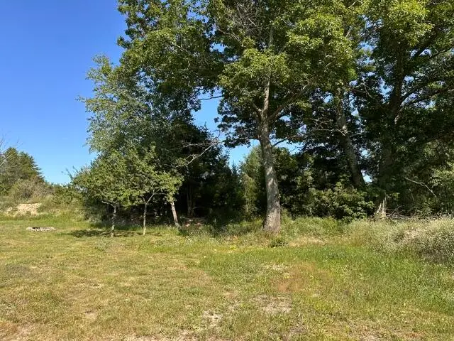207 Skocelas Road N, Manistee, MI 49660 - #1
