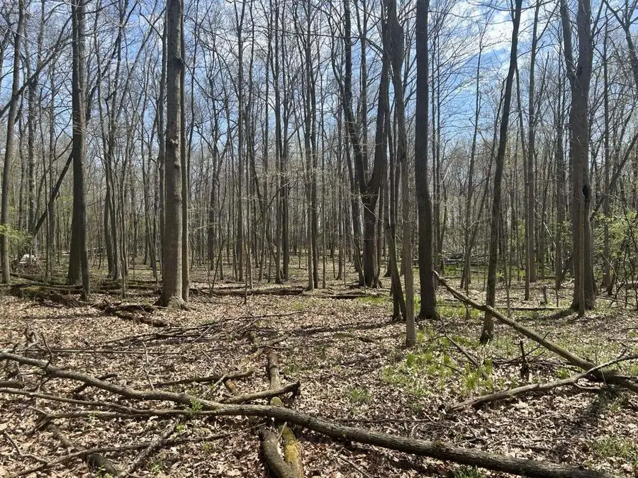 Halfmoon Lake Rd., Hillsdale, MI 49242 - #2