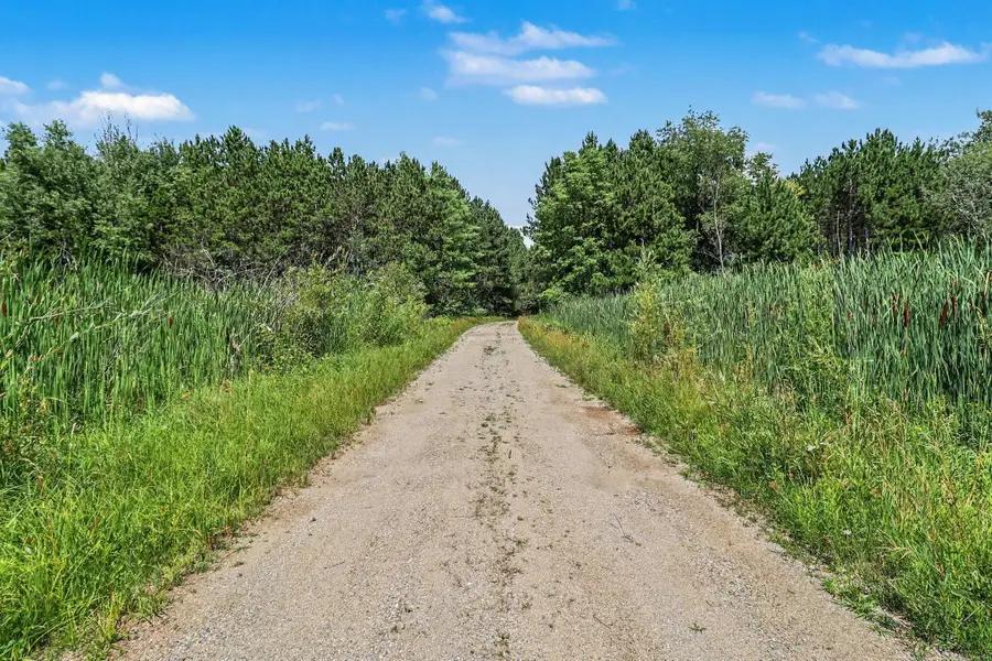 9638 8 Mile Road, Kaleva, MI 49645 - #3