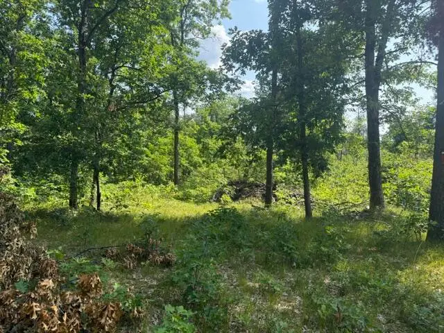 7760 S Merrillville Road, Baldwin, MI 49304 - #2