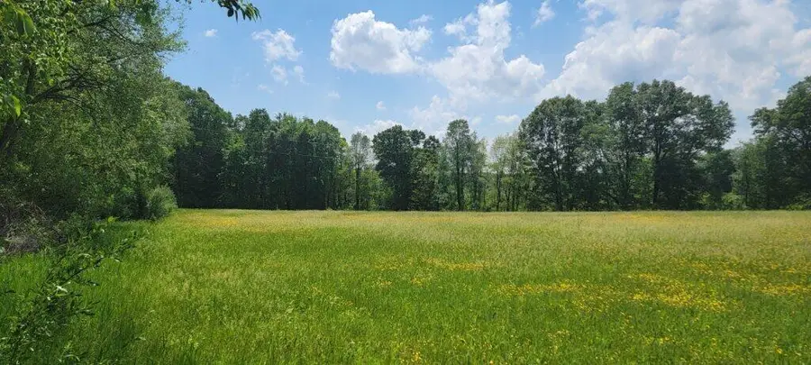 Kingsbury Road #000D, Delton, MI 49046 - #2