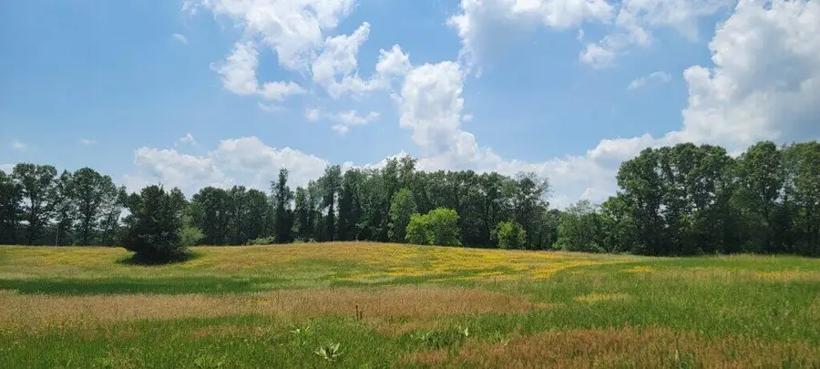 Kingsbury Road #000C, Delton, MI 49046 - #2