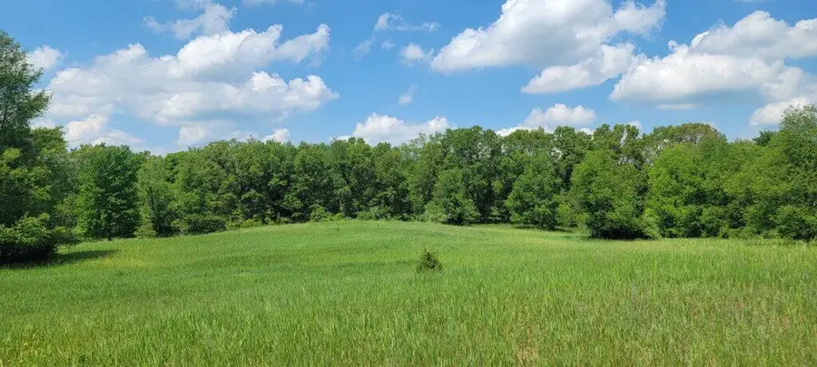Kingsbury Road #000B, Delton, MI 49046 - #2