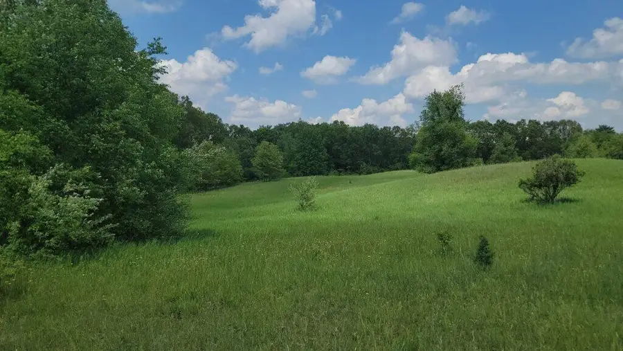 Kingsbury Road #000B, Delton, MI 49046 - #3