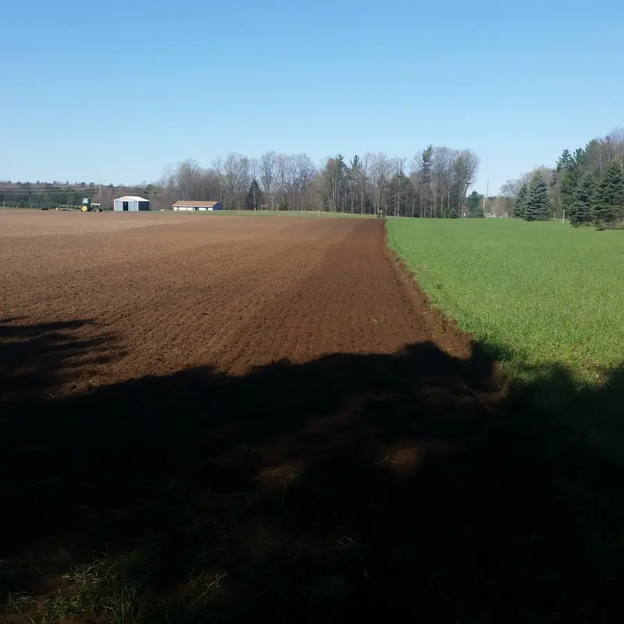 Johnson Road, Kaleva, MI 49645 - #2