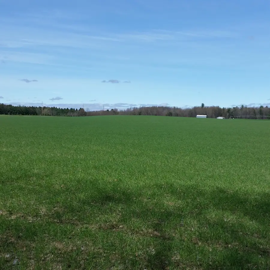Johnson Road, Kaleva, MI 49645 - #3