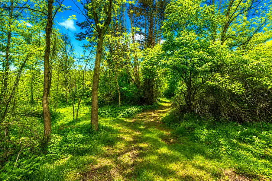 00000 Mcguiness Road, Dexter, MI 48130 - #2