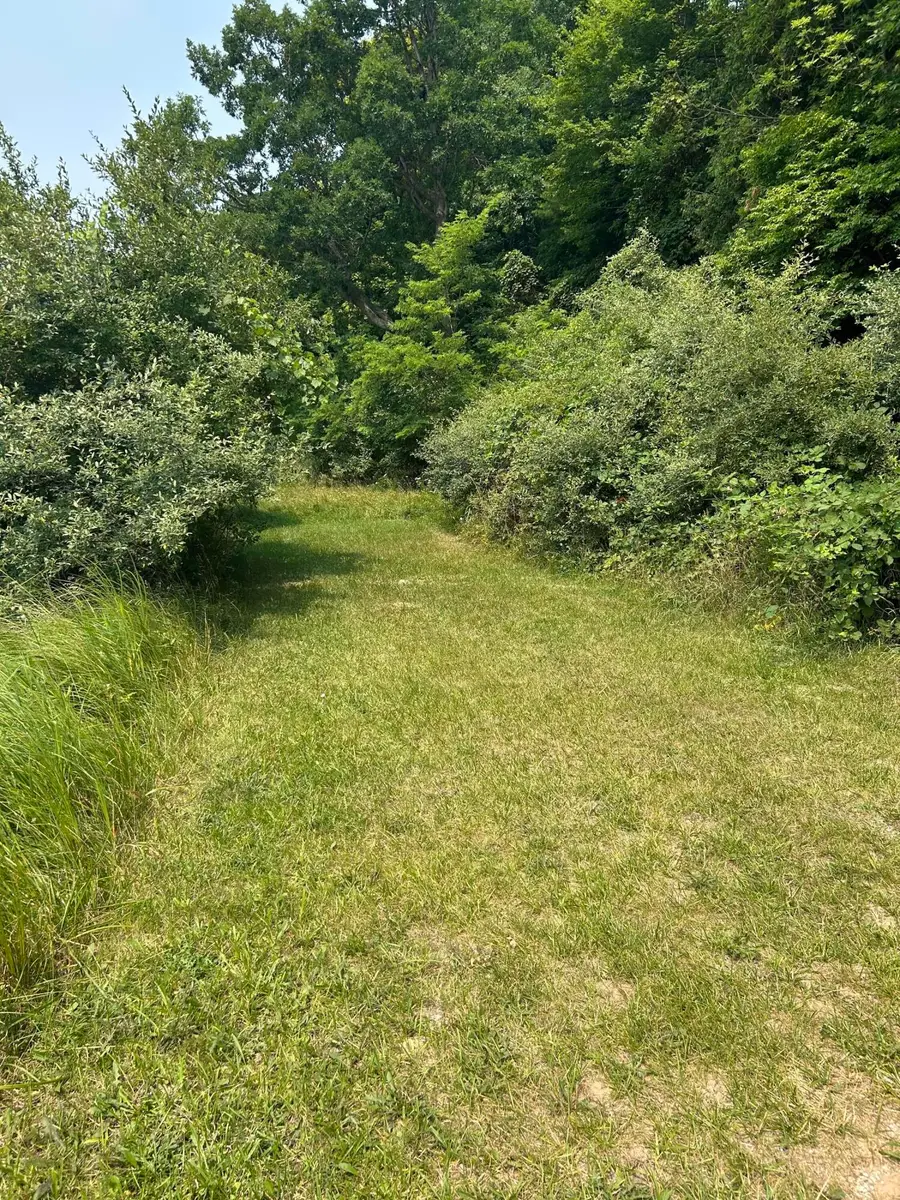 Lots 5, 6 Longebridge West, Pentwater, MI 49449 - #3