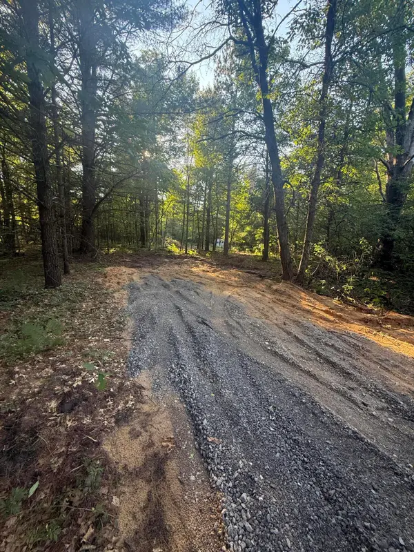 Michael Drive, Alger, MI 48610