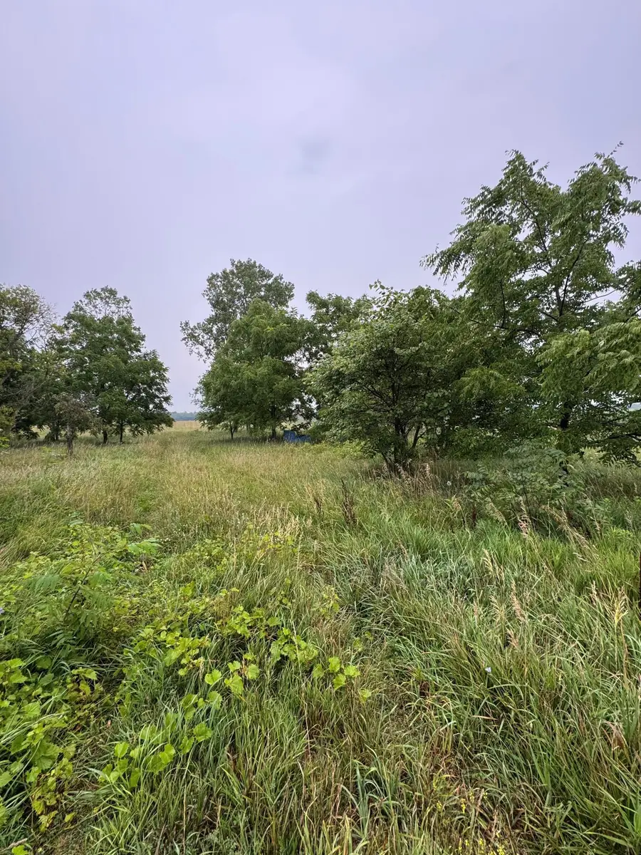 13511 Pioneer Road, Camden, MI 49232 - #3