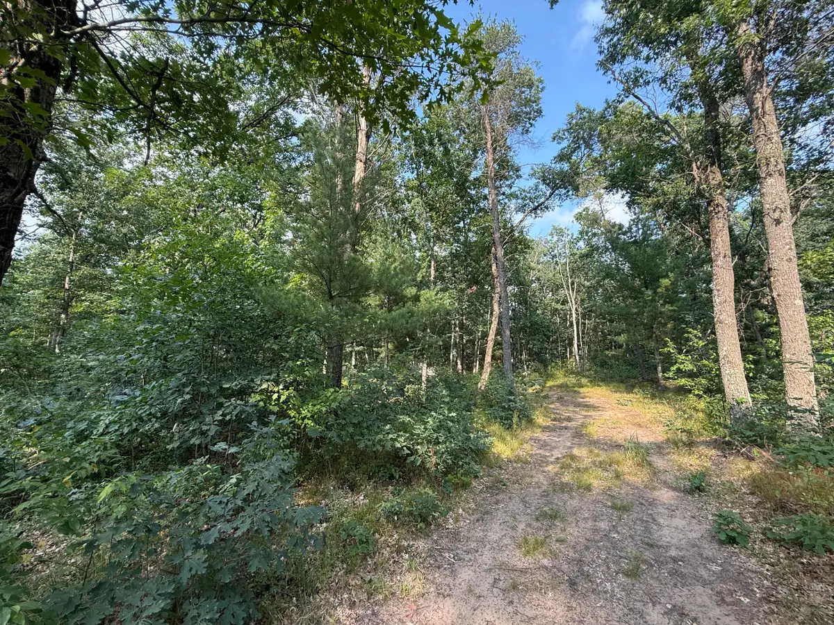 2668 W Moonflower, Baldwin, MI 49304 - #1