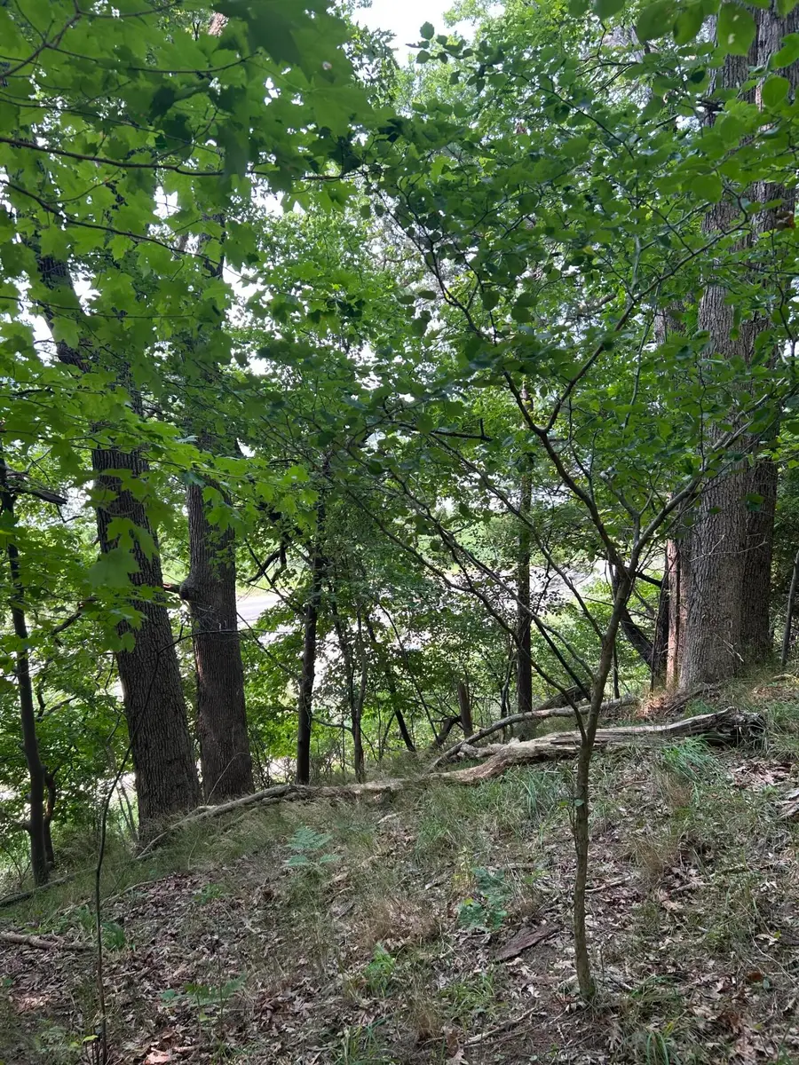 Longbridge West Lot 7, Pentwater, MI 49449 - #2