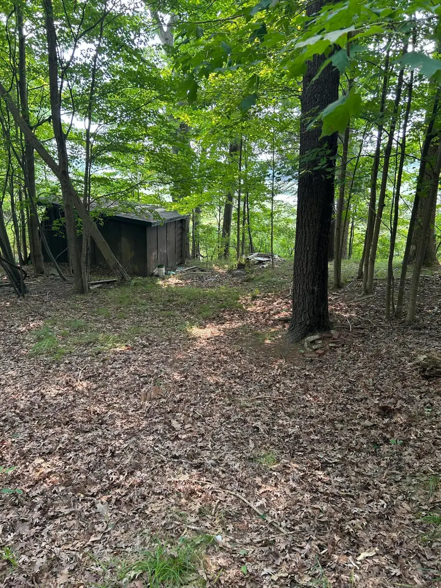 Longbridge West Lot 7, Pentwater, MI 49449 - #3