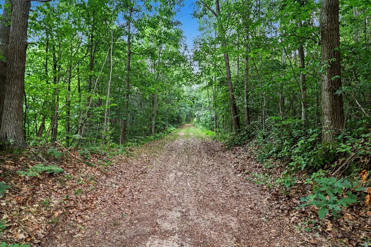 V/L N Larson Road, Fountain, MI 49410 - #1