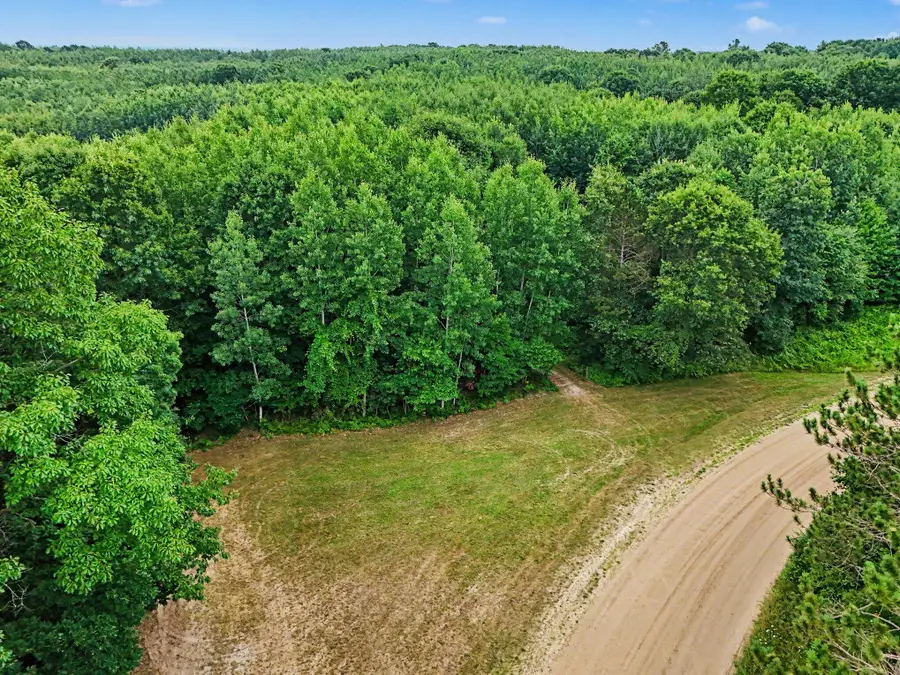 V/L N Larson Road, Fountain, MI 49410 - #3