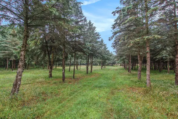 0 Desay Dr W, West Olive, MI 49460