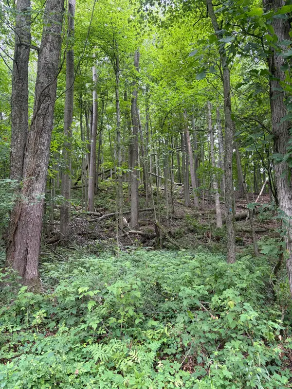 LOT B E Riverside Drive, Lowell, MI 49331