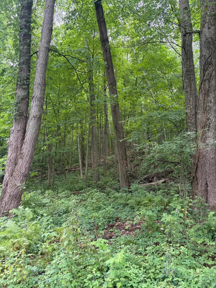 LOT B E Riverside Drive, Lowell, MI 49331 - #3