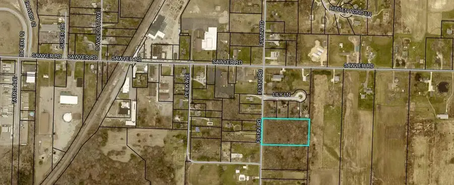 Flynn Road, Sawyer, MI 49125 - #2
