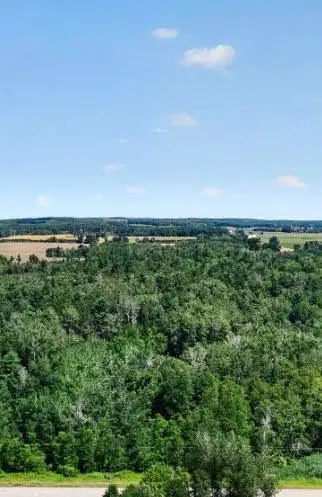 V/L W Vernon Road, Lake, MI 48632