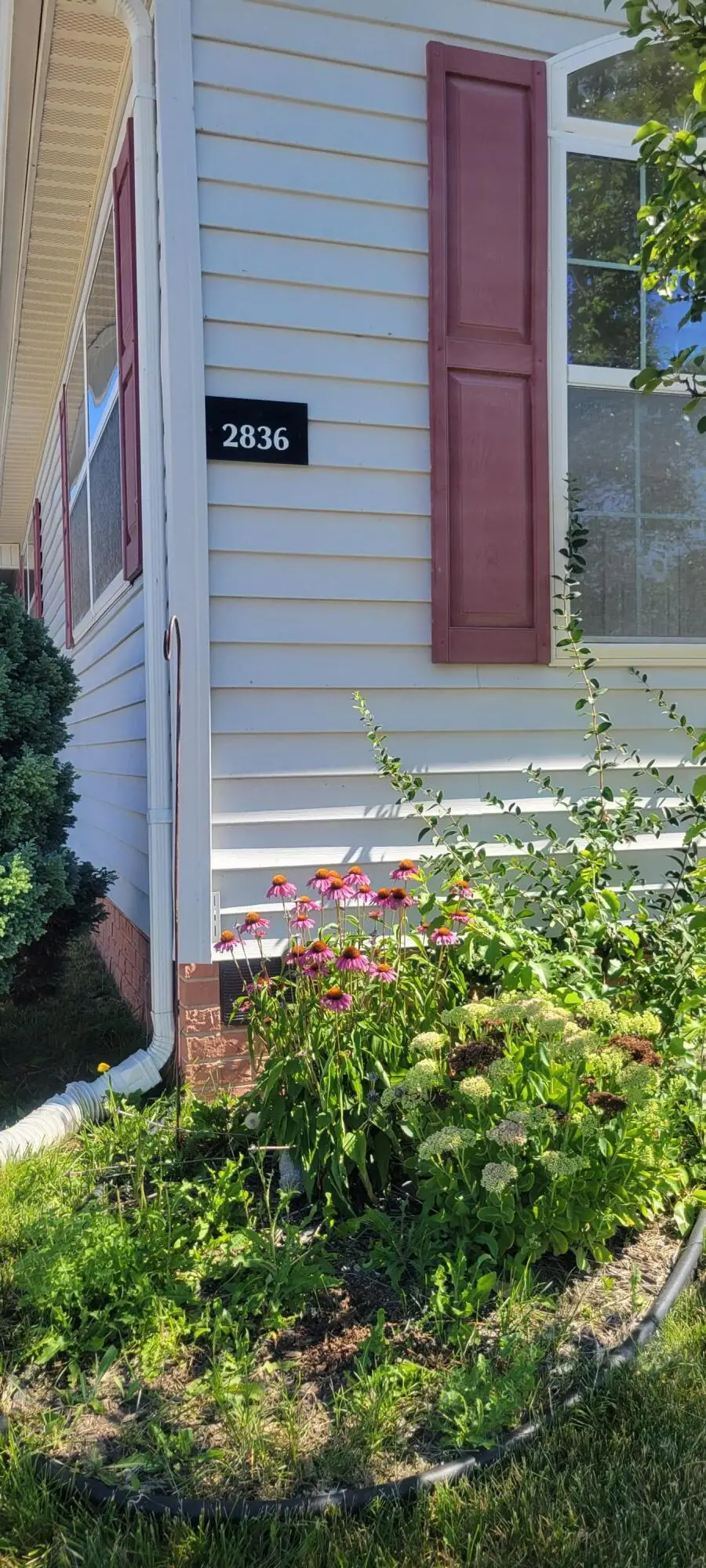 2836 Verona Drive, Northville, MI 48167 - #2