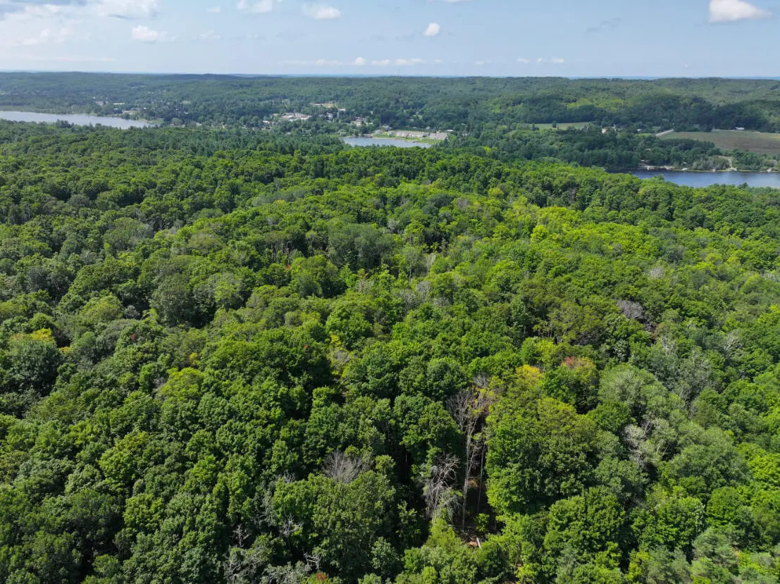 V/L 10A Bunker Hill Road, Central Lake, MI 49622 - #1