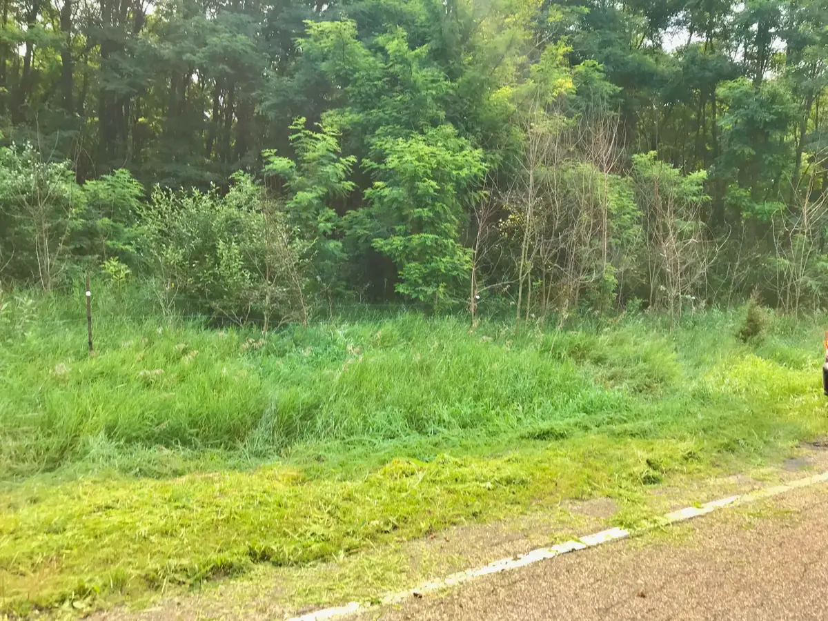 Lot I Buckhorn Road #Lot I, Three Rivers, MI 49093 - #1