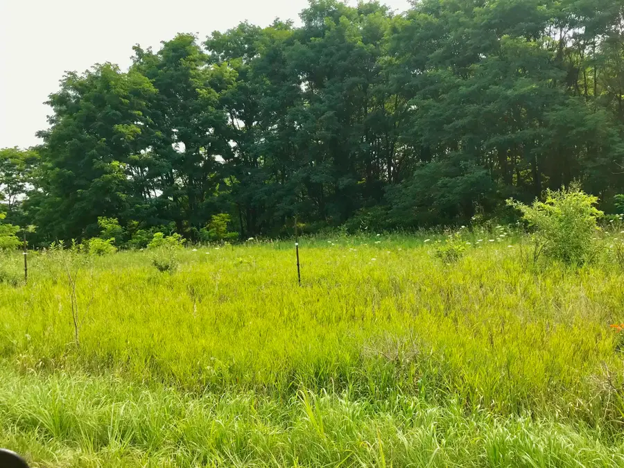 Lot I Buckhorn Road #Lot I, Three Rivers, MI 49093 - #3